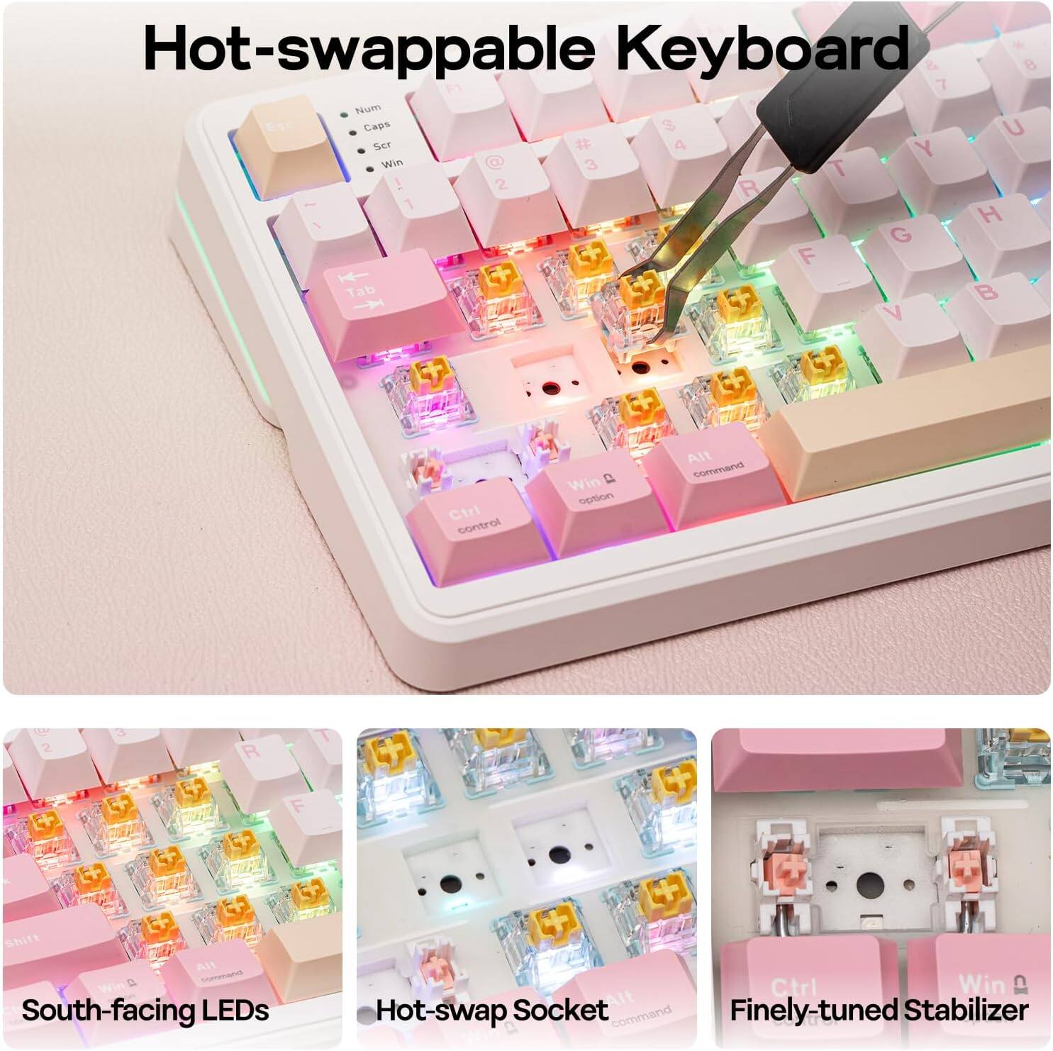 Hot-swappable Keyboard

- Num
- Caps
- Scr
- Win
- 1
- 2
- 3
- 4
- 5
- 6
- 7
- 8
- 9
- 0
- Tab
- Ctrl
- Win
- Alt
- Command
- Shift
- Alt
- South-facing LEDs
- Hot-swap Socket
- Finely-tuned Stabilizer