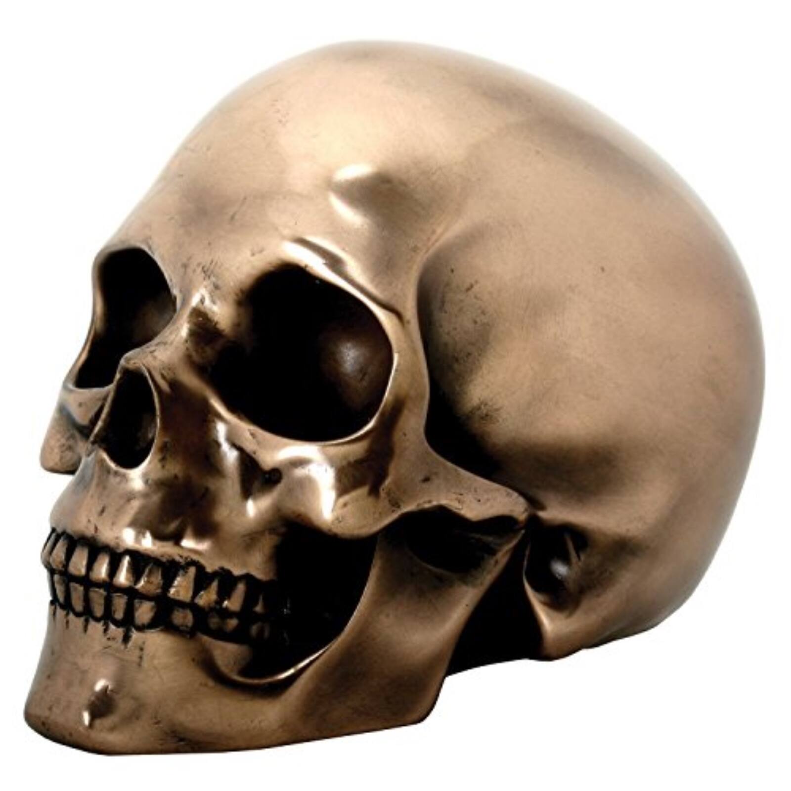 Front. Pacific Trading - Decorative Bronze Colored Skull Head Skeleton Figurine Statue 5.25 inch.