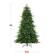 The text on the image indicates the dimensions of the Christmas tree: 6ft (height) and 50in (width).