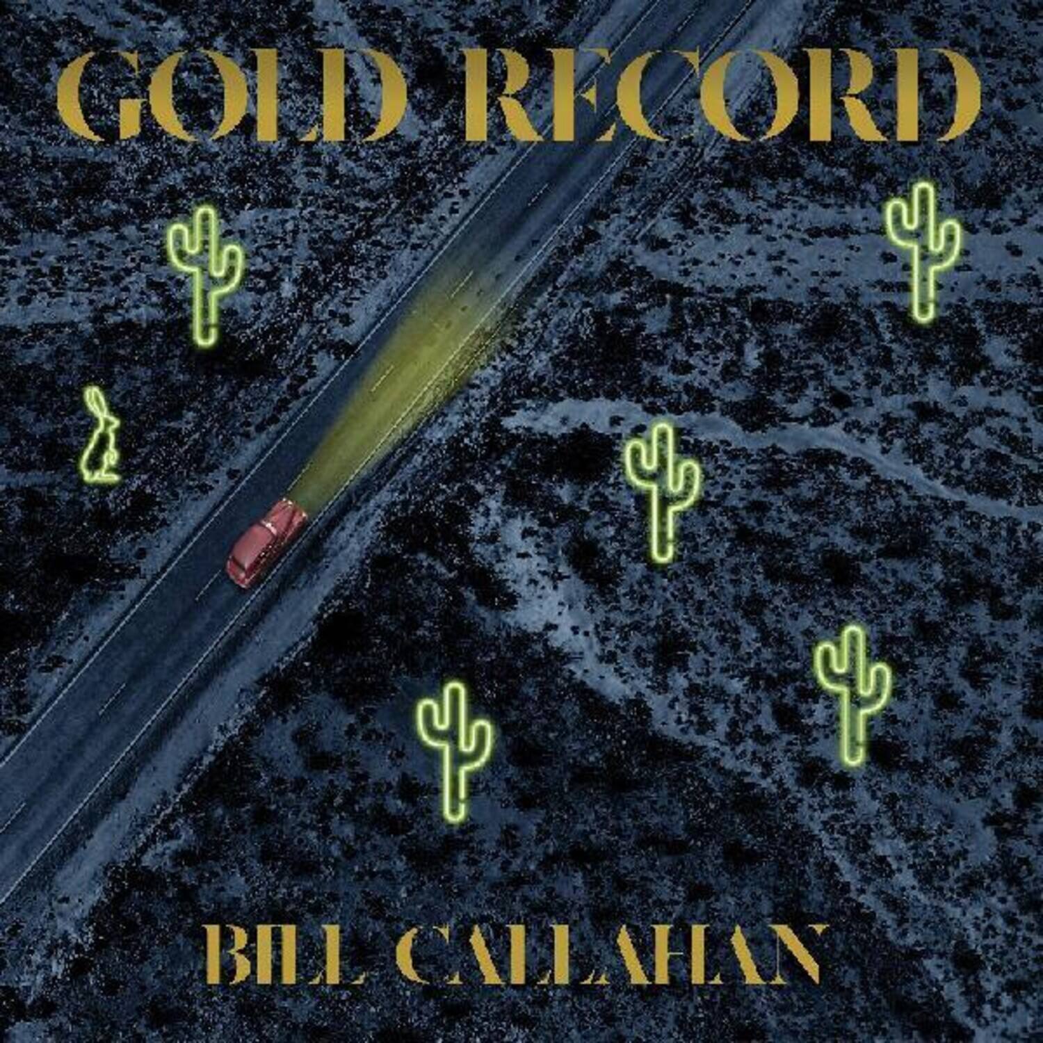 Bill Callahan - Gold Record   - VINYL LP price history on PriceWatchPro