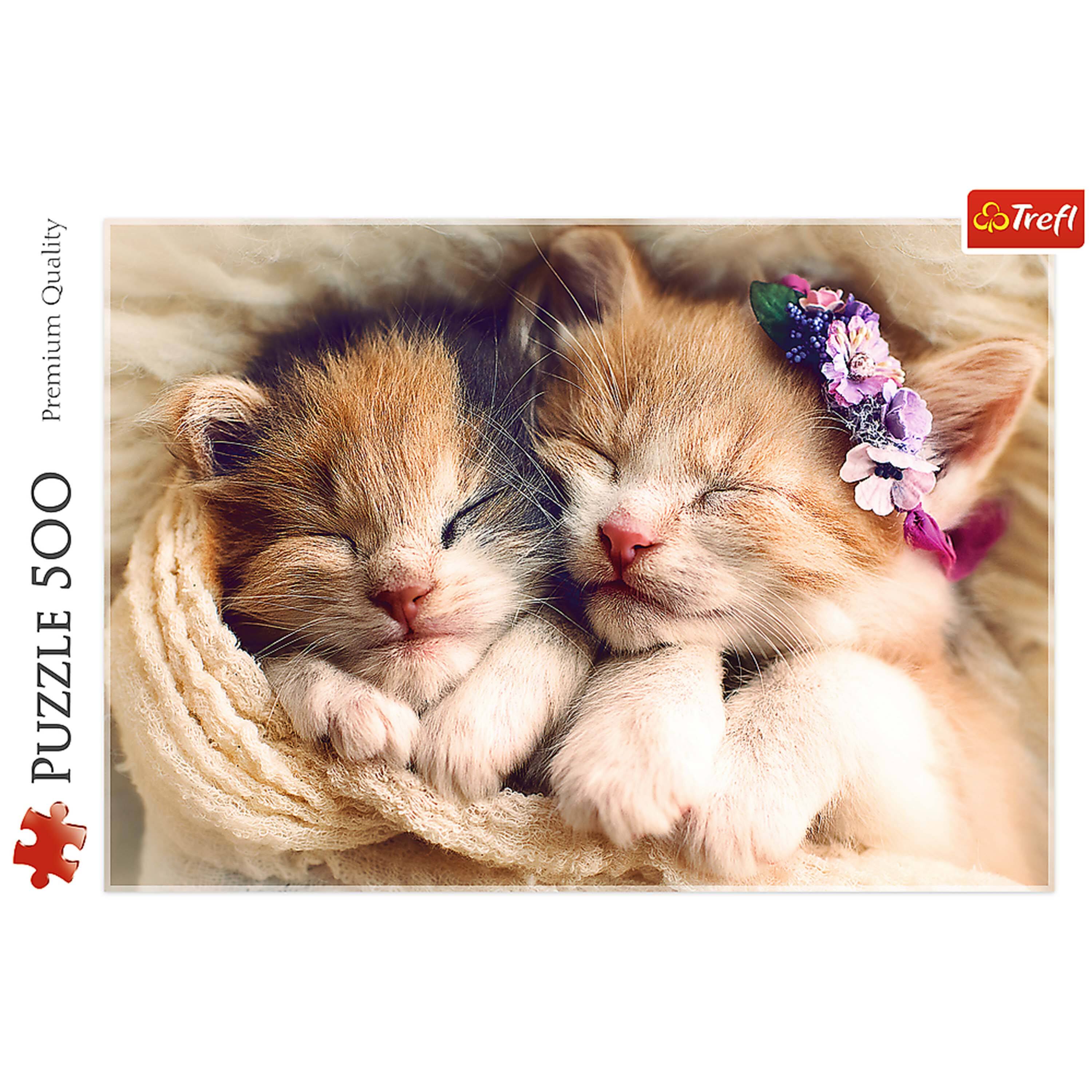 Quality Premium 500 PUZZLE Trefl

PUZZLE 500

Premium Quality
