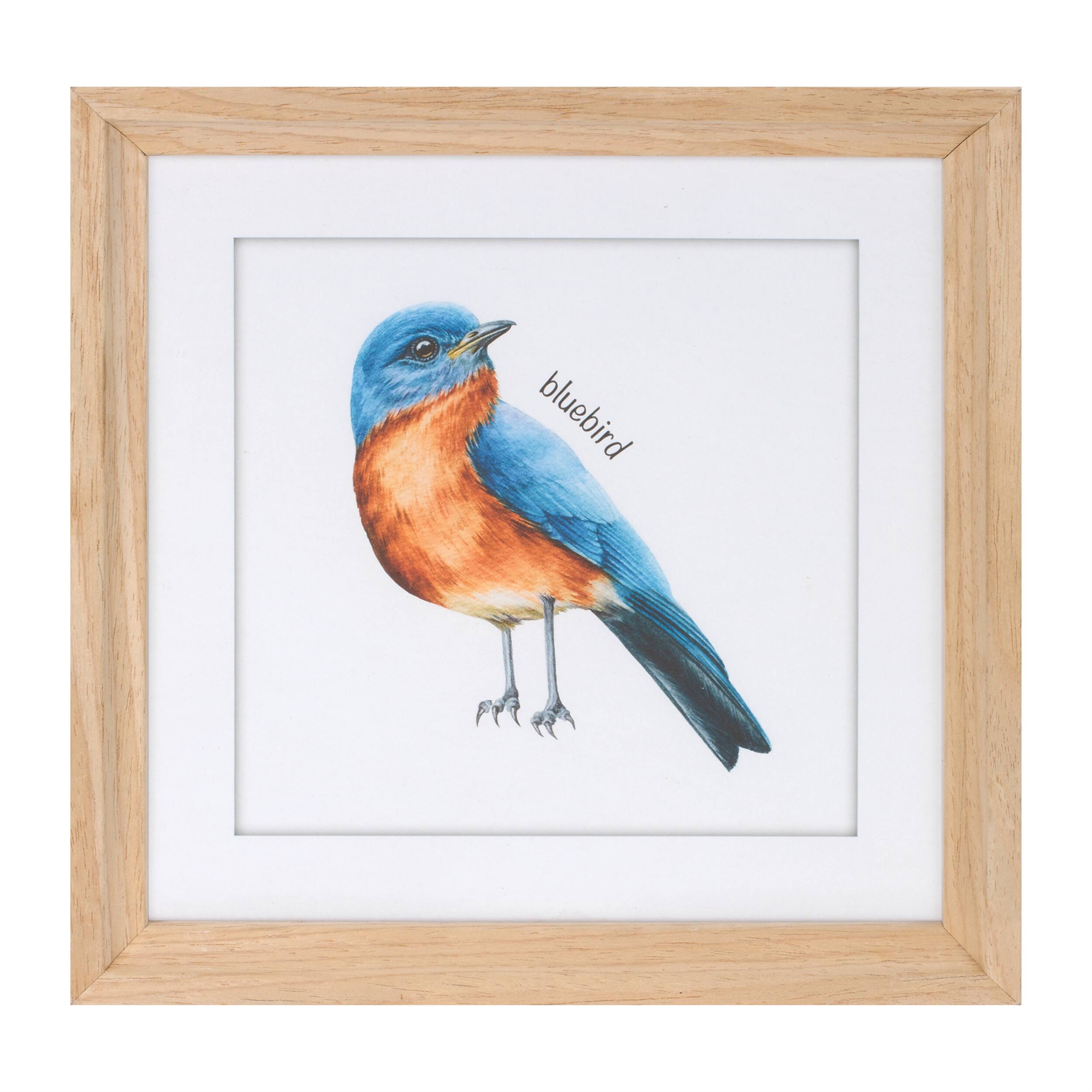 Back. BreeBe - Framed Bird Print Under Glass (Set of 8) - Blue, Yellow, White.