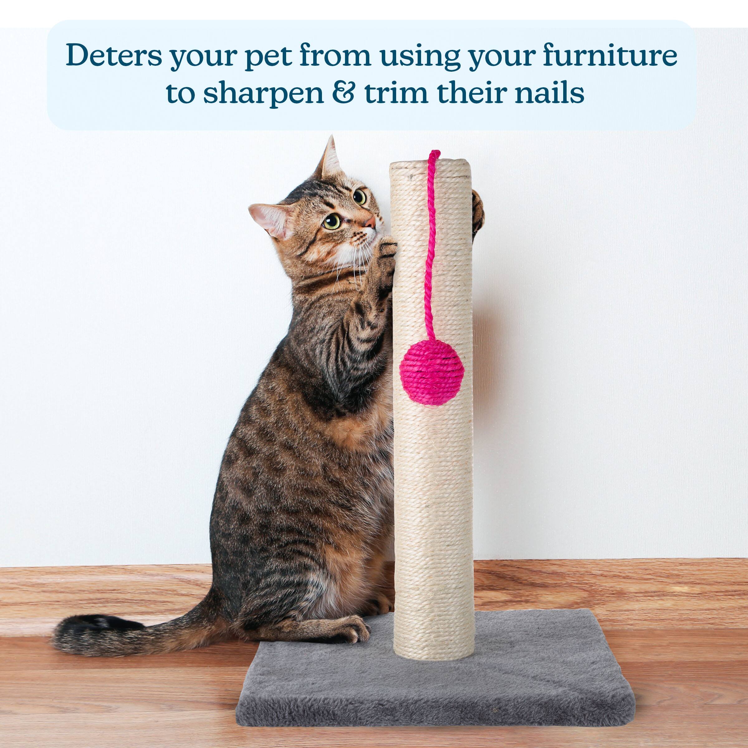 Deters your pet from using your furniture to sharpen & trim their nails