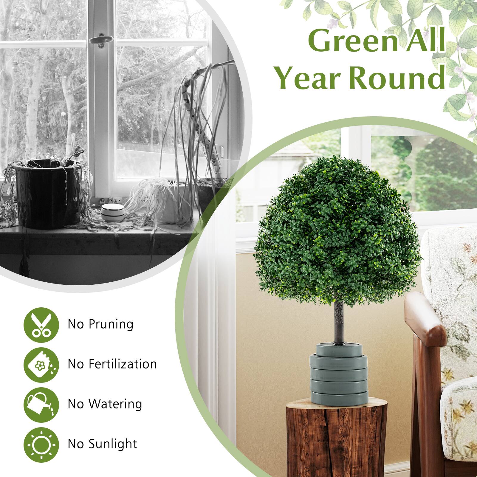 Green All Year Round

- No Pruning
- No Fertilization
- No Watering
- No Sunlight