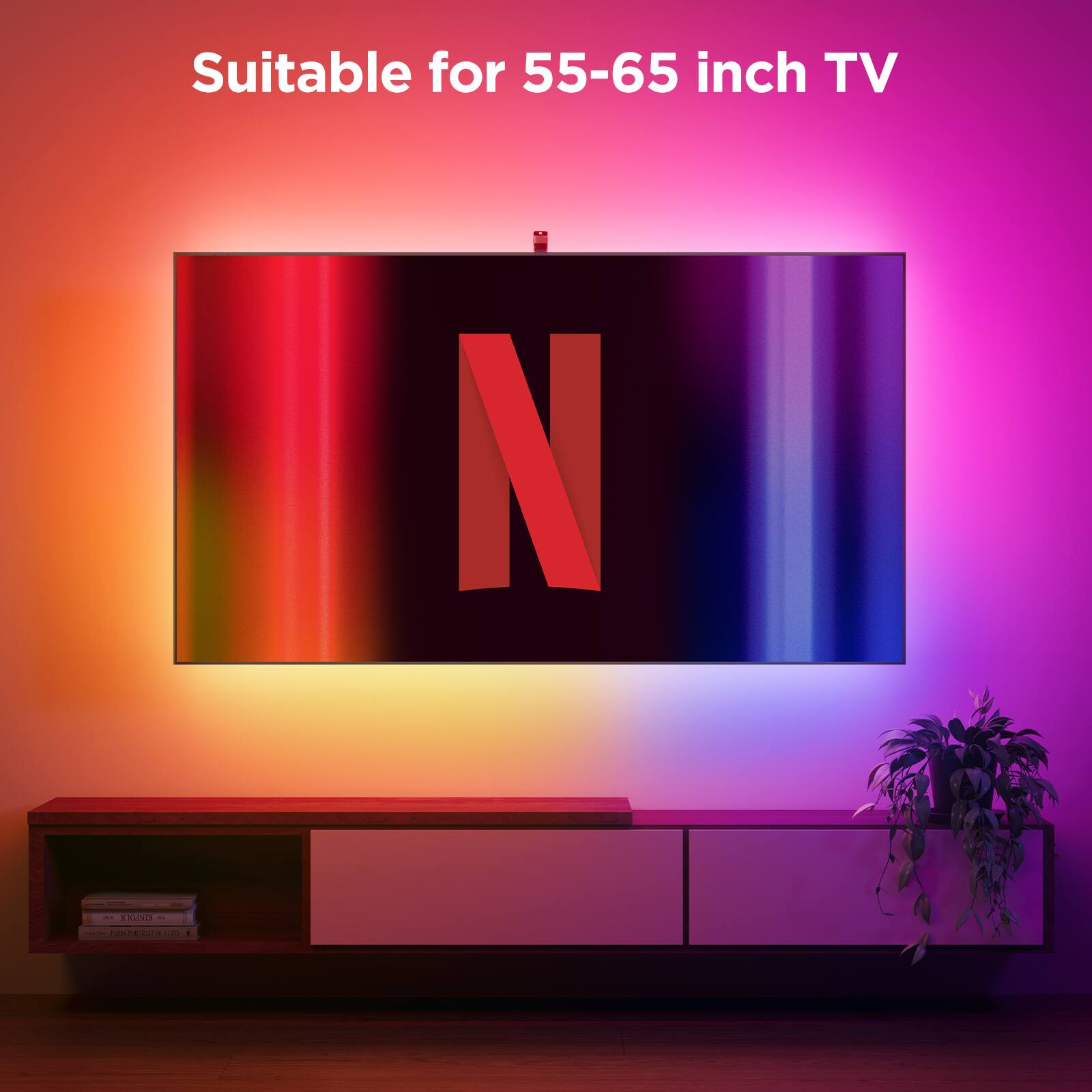 Suitable for 55-65 inch TV.