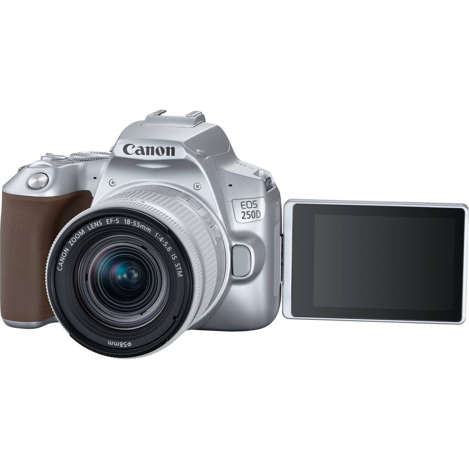 Canon EF-S Lens 18-55mm Zoom 1:4-5.6 IS STM EOS 250D 58mm