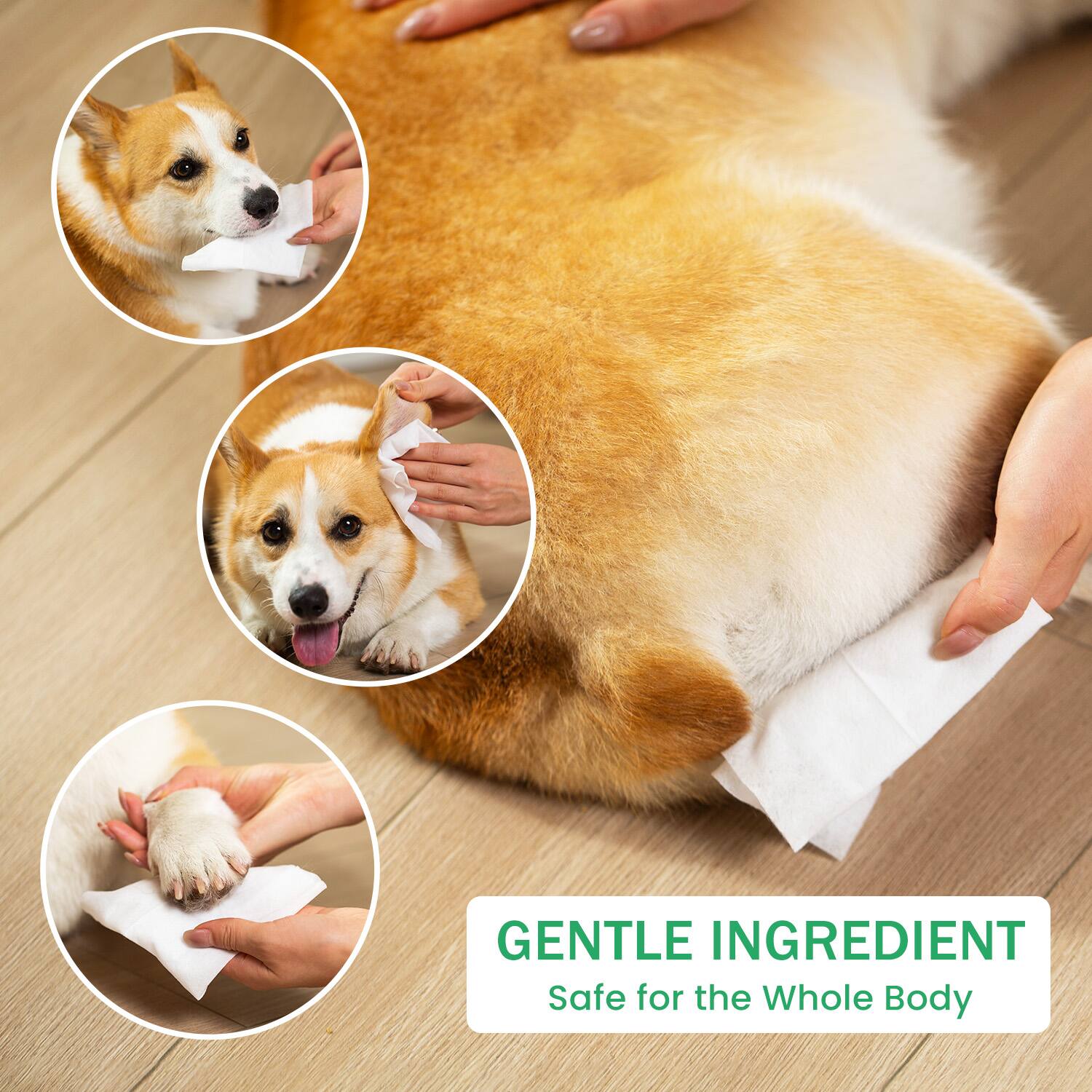 GENTLE INGREDIENT  
Safe for the Whole Body