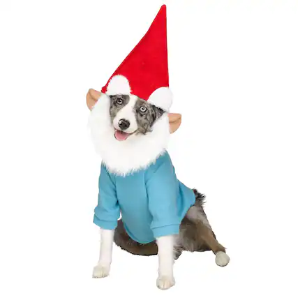 Front. Funworld - Gnome Pet Costume | Medium - Multi-Colored.