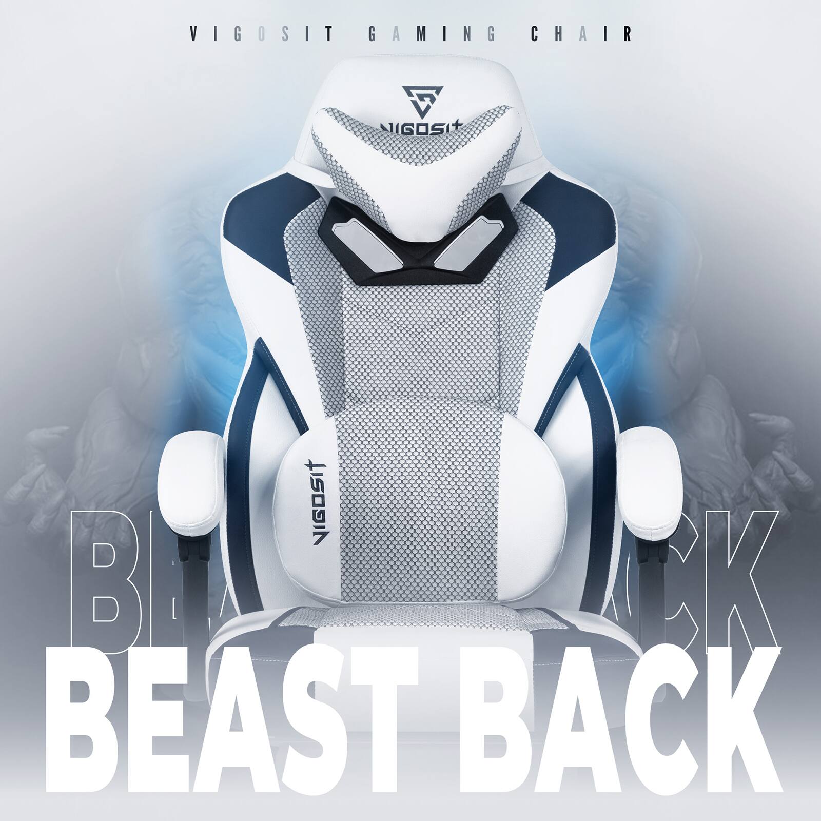 VIGOSIT GAMING CHAIR  
BEAST BACK