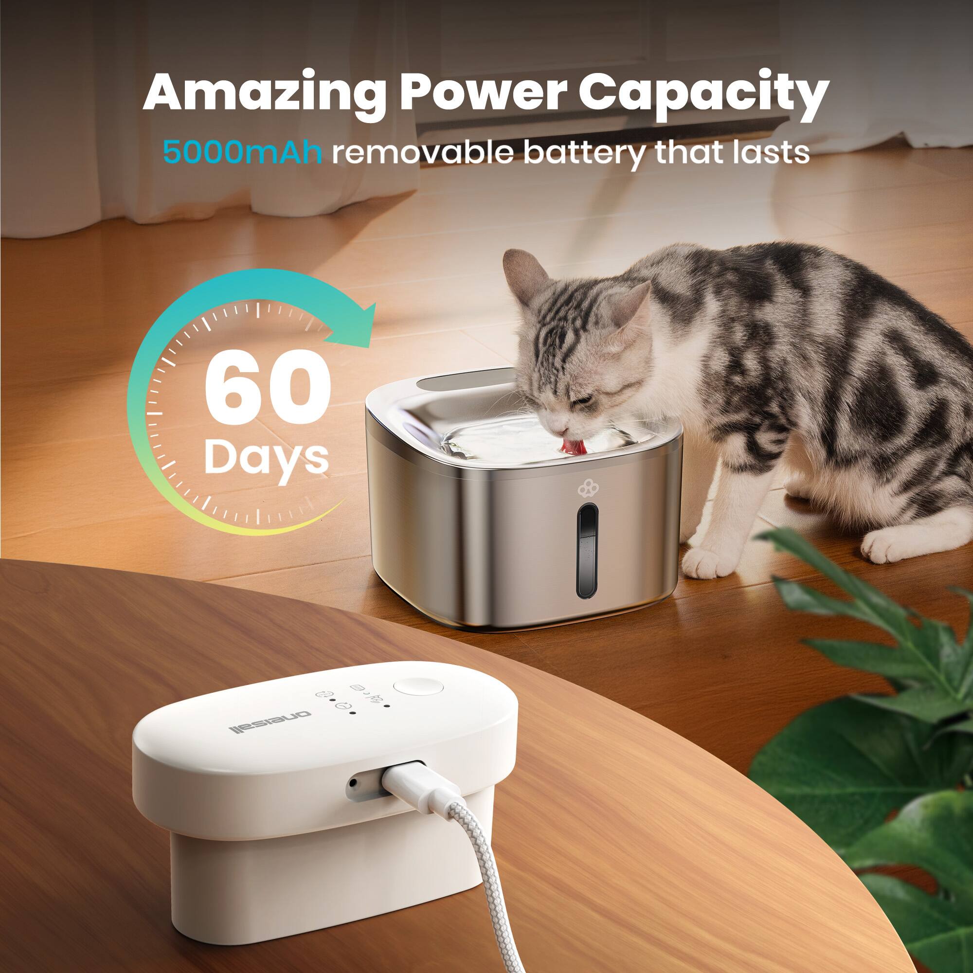 Amazing Power Capacity  
5000mAh removable battery that lasts  
60 Days