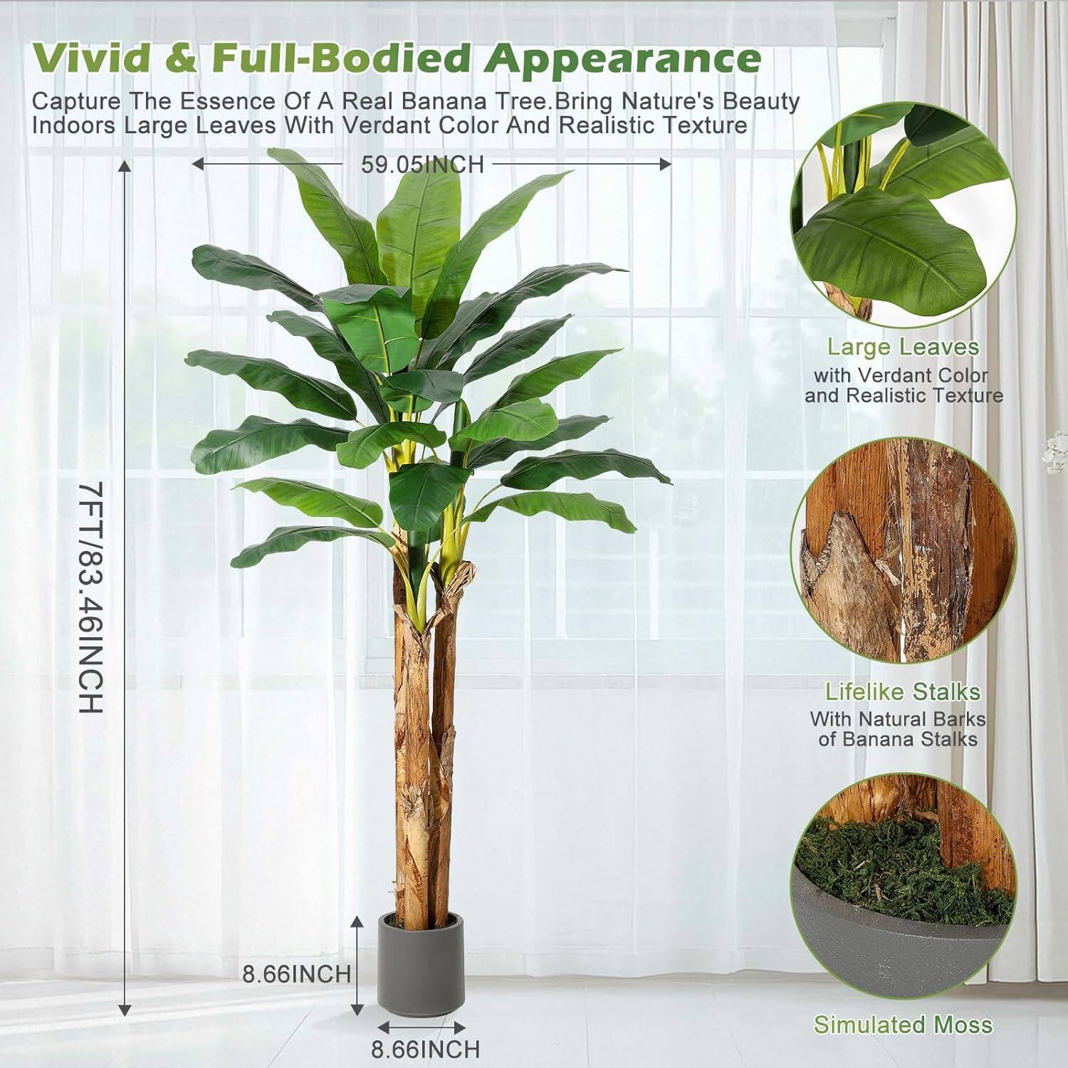 Vivid & Full-Bodied Appearance  
Capture The Essence Of A Real Banana Tree. Bring Nature's Beauty Indoors  

Large Leaves With Verdant Color And Realistic Texture  
59.05INCH  

7FT/83.46INCH  

Lifelike Stalks With Natural Barks of Banana Stalks  
8.66INCH  

Simulated Moss  

Large Leaves with Verdant Color and Realistic Texture  
Lifeike Stalks With Natural Barks of Banana Stalks