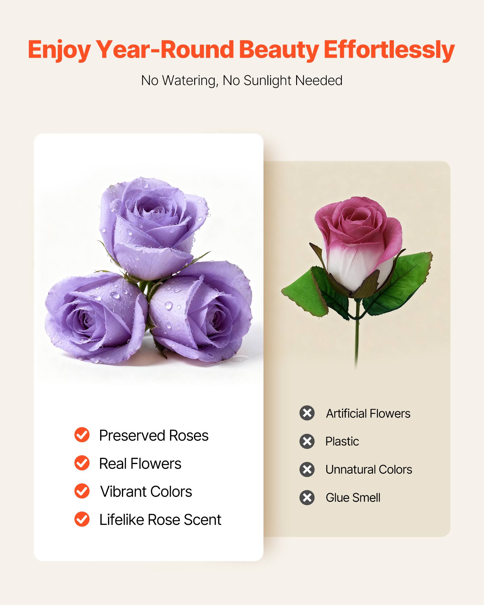 Enjoy Year-Round Beauty Effortlessly  
No Watering, No Sunlight Needed  

✓ Preserved Roses  
✓ Real Flowers  
✓ Vibrant Colors  
✓ Lifelike Rose Scent  

✗ Artificial Flowers  
✗ Plastic  
✗ Unnatural Colors  
✗ Glue Smell