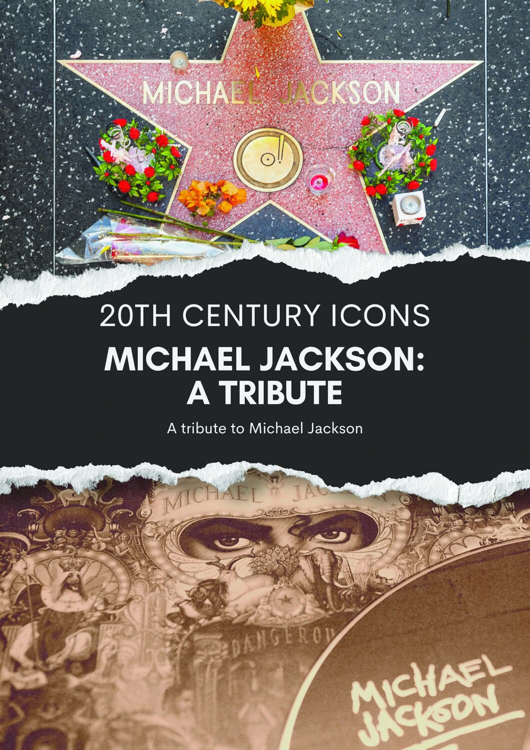 Michael Jackson: A Tribute- DVD