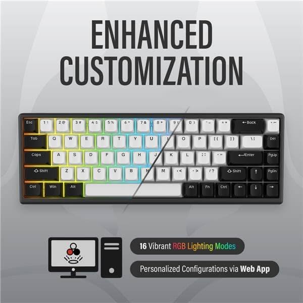 ENHANCED CUSTOMIZATION

16 Vibrant RGB Lighting Modes  
Personalized Configurations via Web App