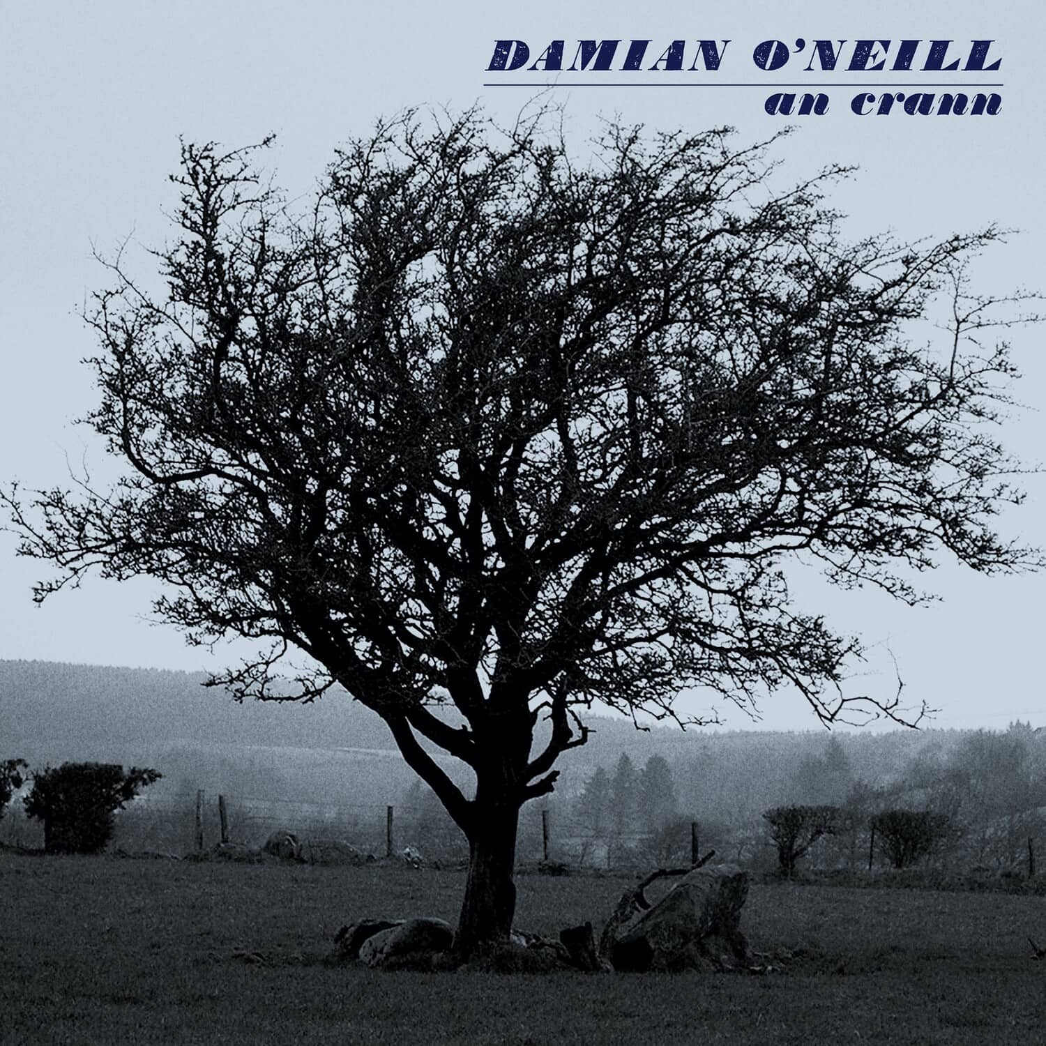 Damian O'Neill - An Crann  - COMPACT DISCS