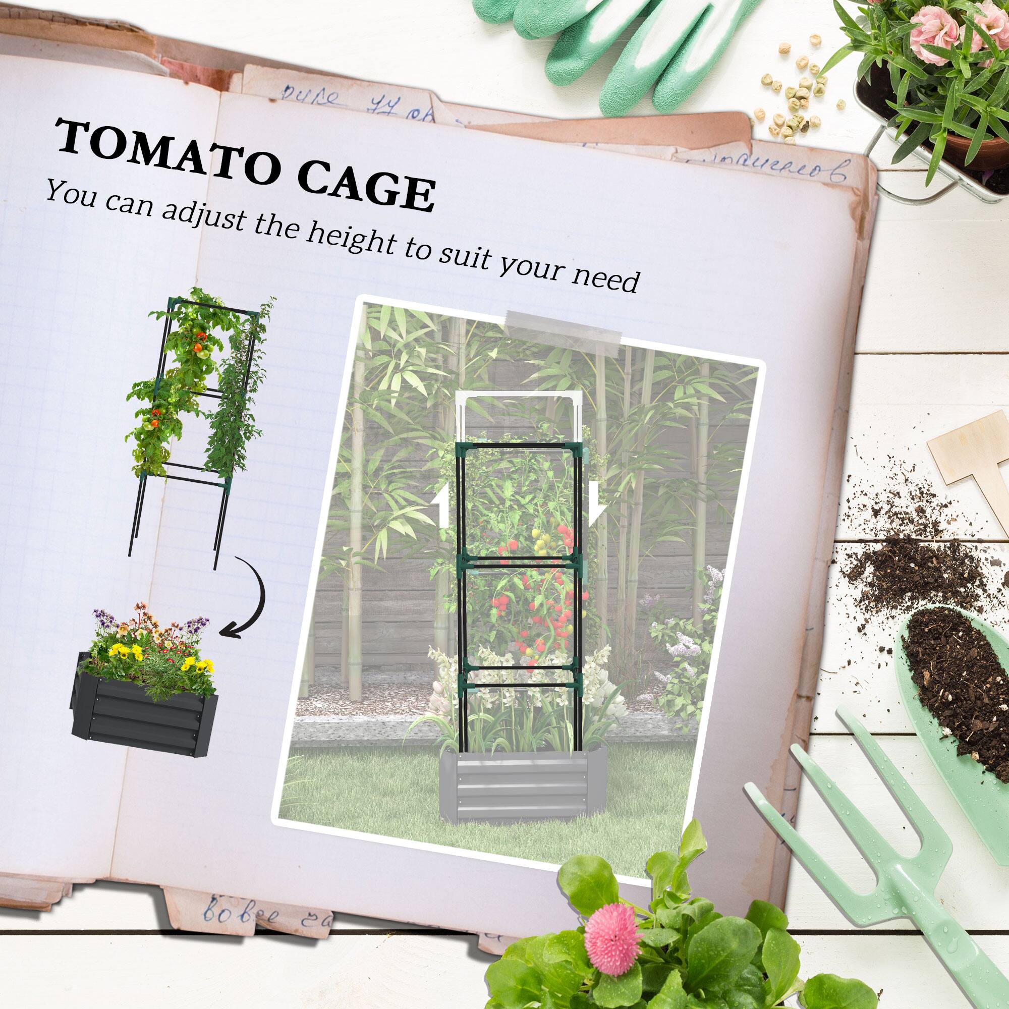 TOMATO CAGE
You can adjust the height to suit your need