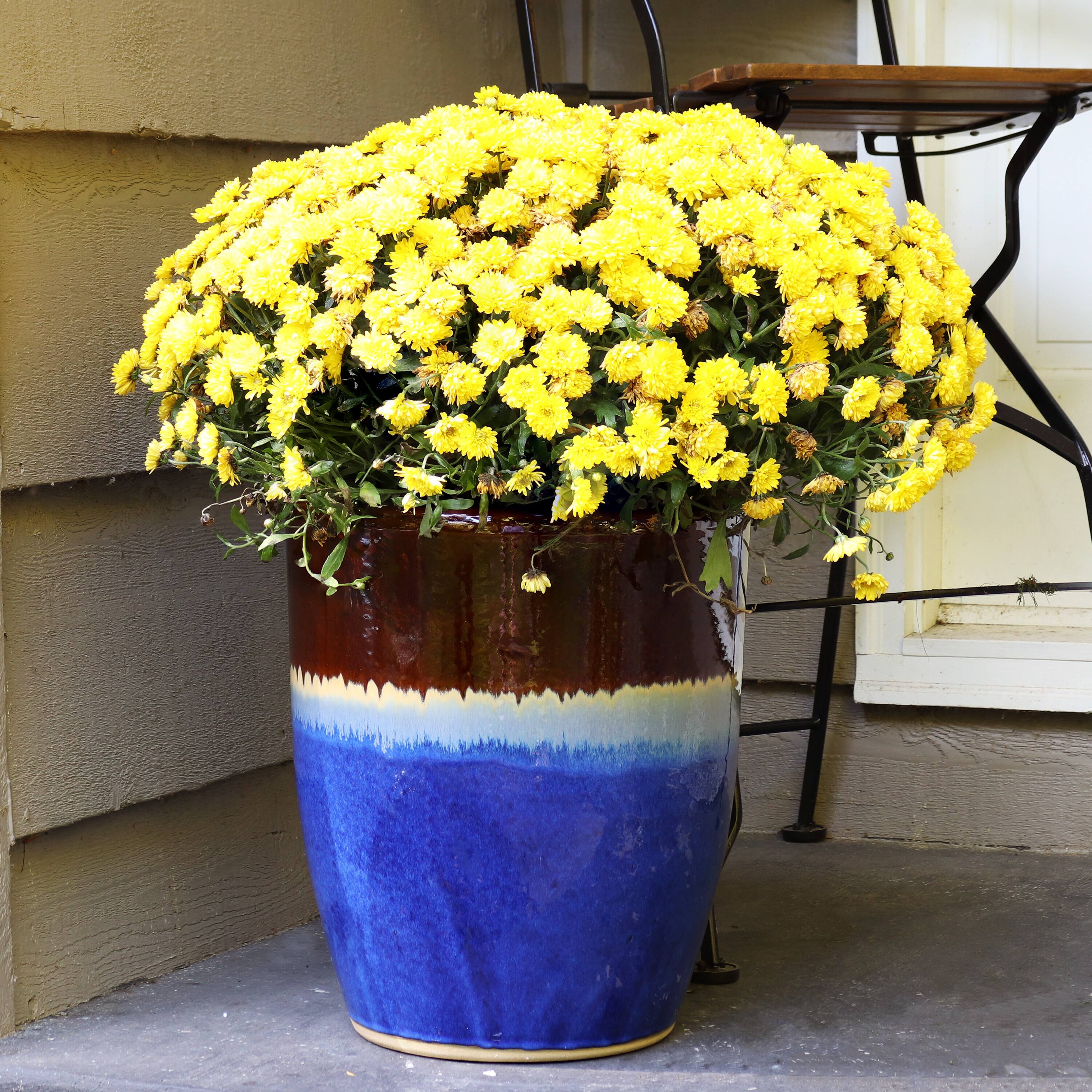 Alt View 4. Sunnydaze - Captivating Vista Ceramic Planter - 14" - Beachcomber.