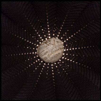 Front. Nat Baldwin - In the Hollows - COMPACT DISCS.