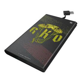 Keyscaper - WWE Steel 5000mAh Flat Powerbank - Randy Orton