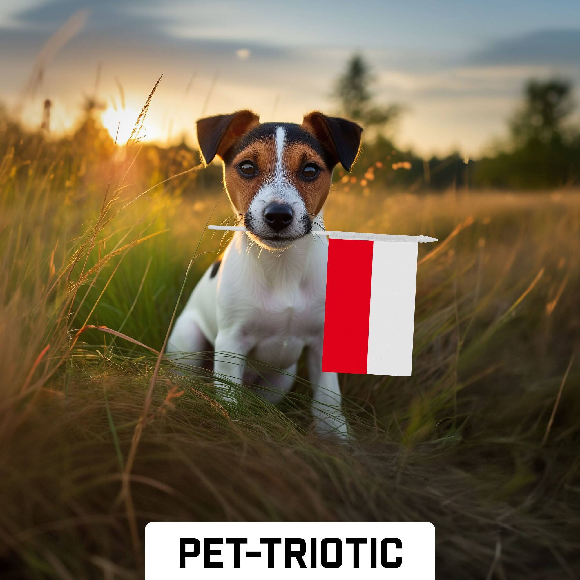 Alt View 3. G128 - Handheld Poland Stick Flags 4x6 Inch Printed 150D Polyester 10 Pack - Red and White.