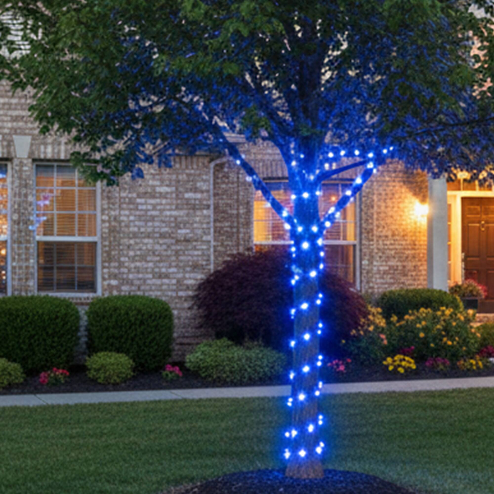 Alt View 3. Northlight - Flexible Incandescent Outdoor Christmas Rope Light - Blue - 100' Blue Wire - Blue.