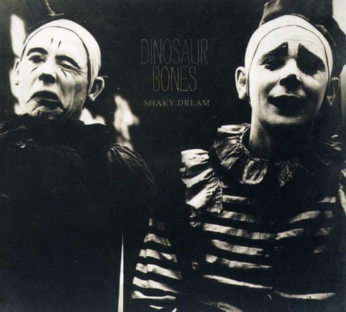 Dinosaur Bones - Shaky Dream  - COMPACT DISCS