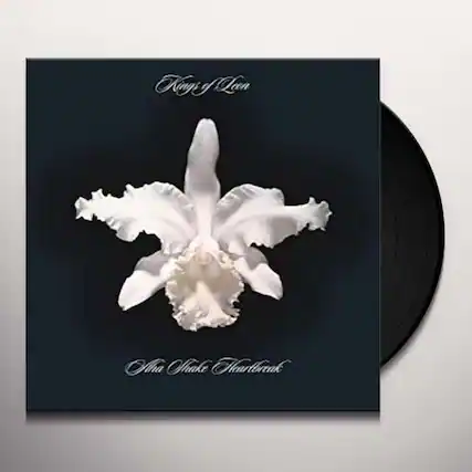 Kings of Leon
Aha Shake Heartbreak