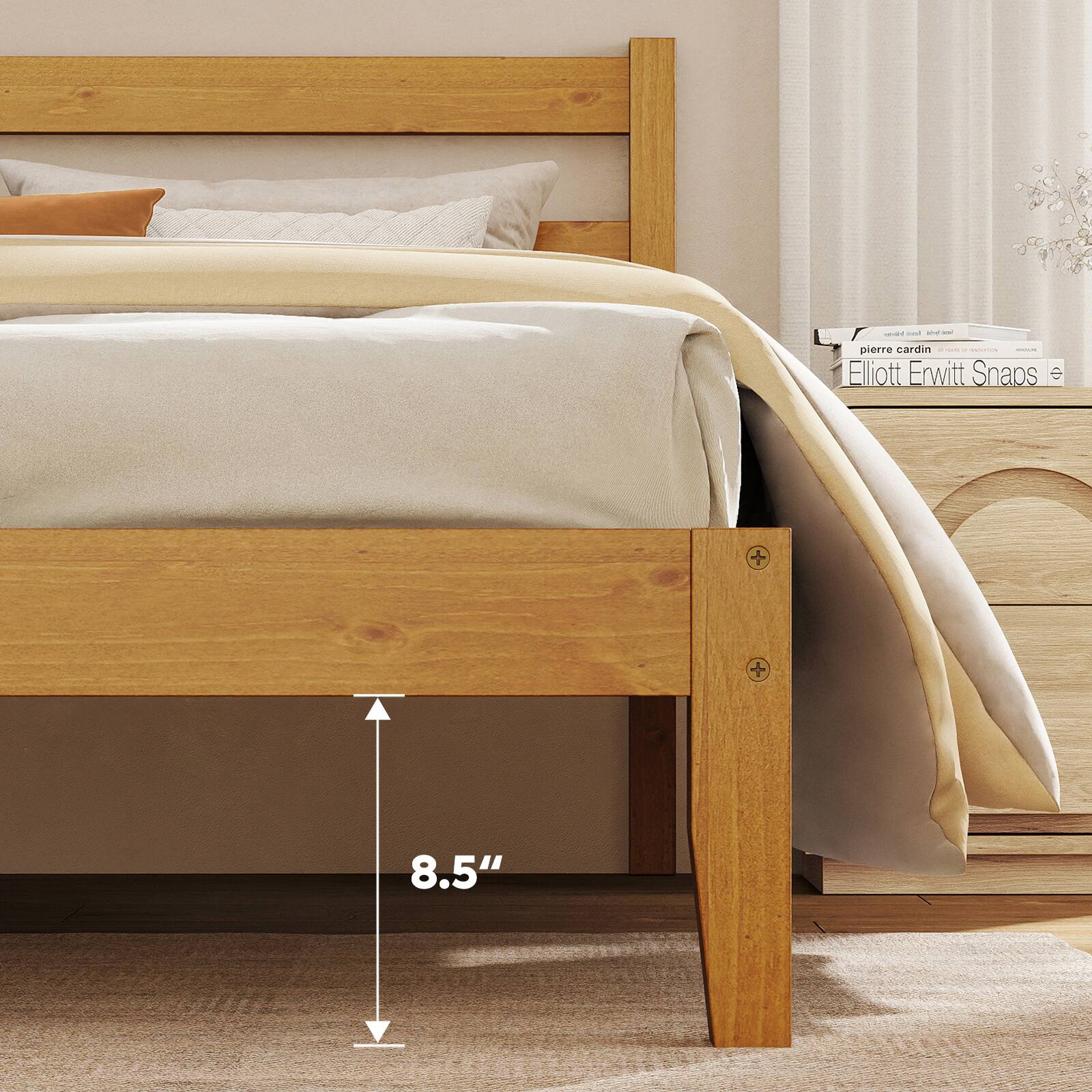 1 - pierre cardin - Elliott Erwitt Snaps 8.5"