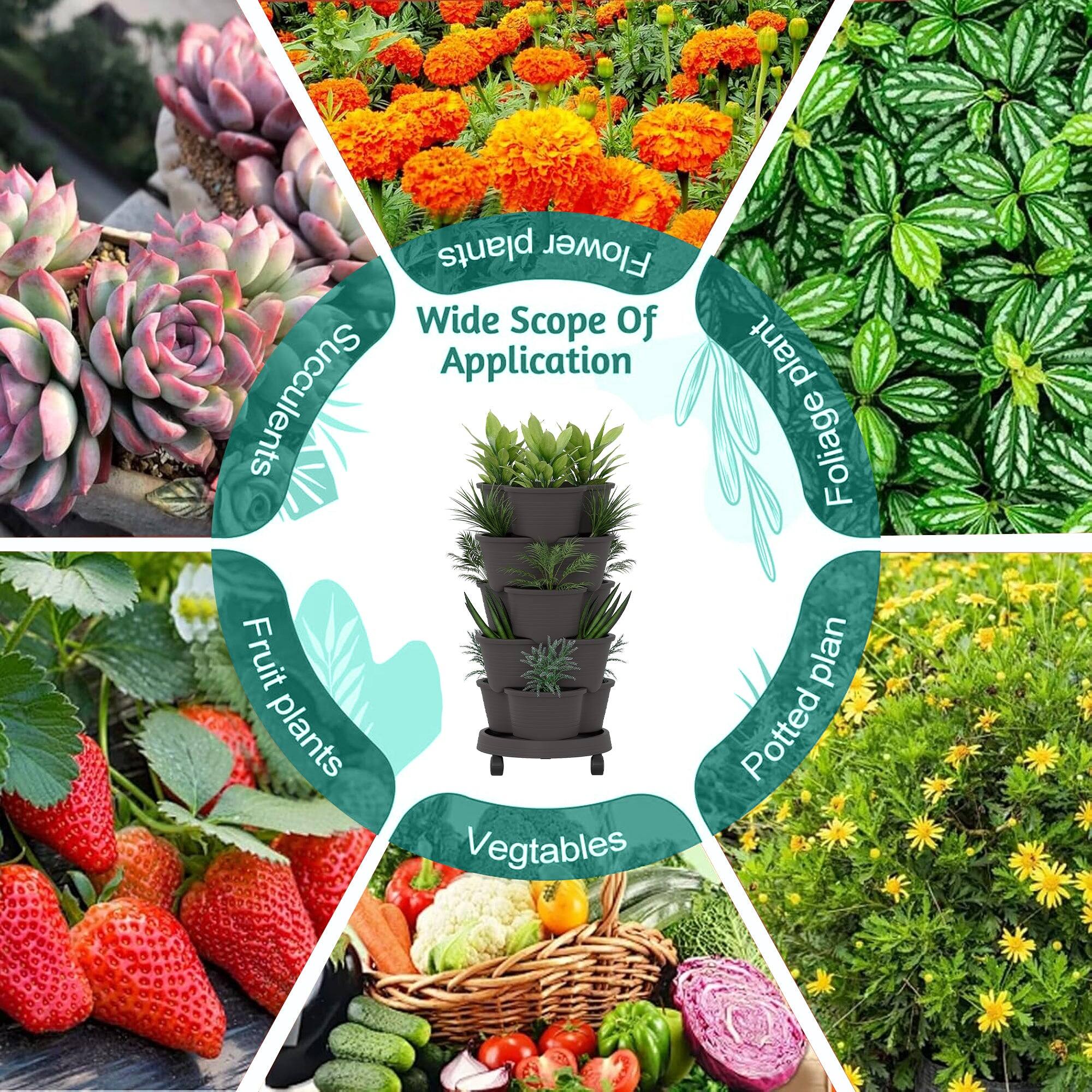 Wide Scope Of Application

- Succulents
- Foliage plants
- Fruit plants
- Vegetables
- Potted plants