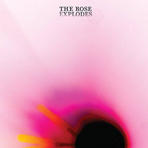 Dream Boat - Rose Explodes   - VINYL LP price history on PriceWatchPro