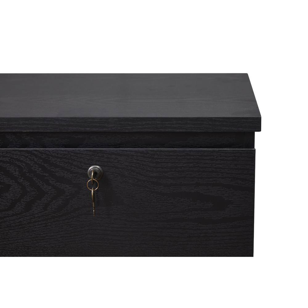 KOWO - 2 Drawer Wood File Cabinet With Lock - Black