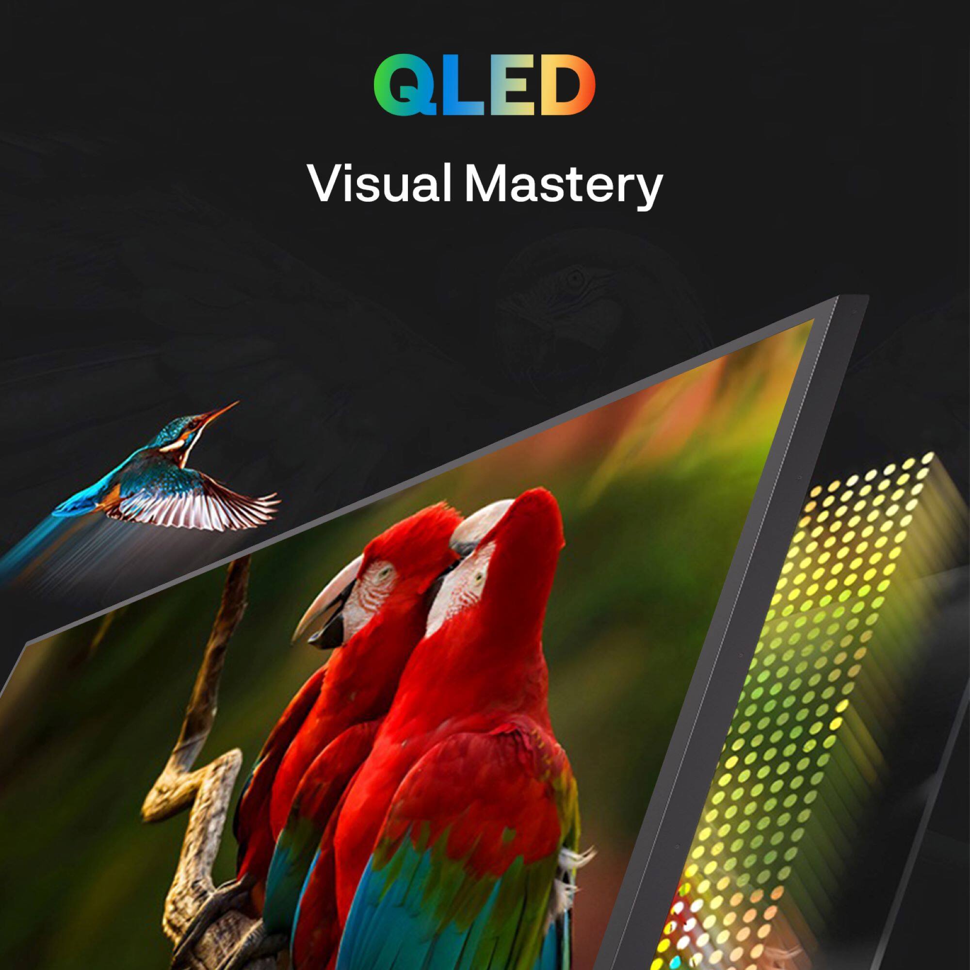 QLED  
Visual Mastery