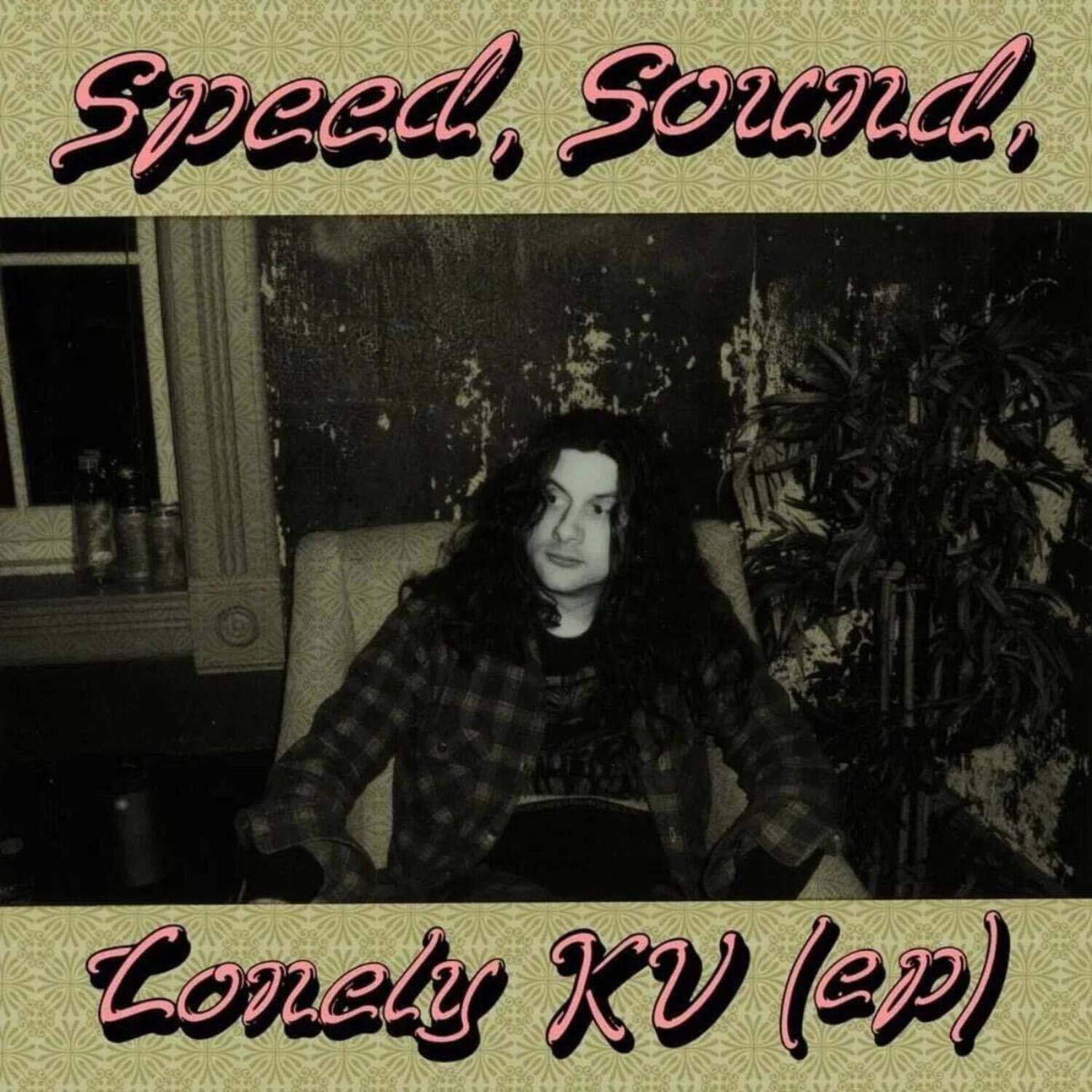 Kurt Vile - Speed Sound Lonely KV   - VINYL LP price history on PriceWatchPro