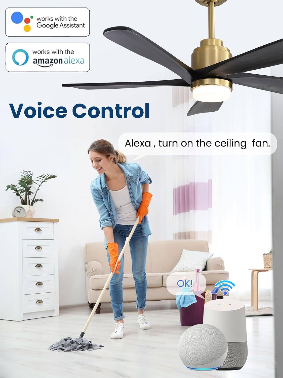 works with the Google Assistant  
works with the Amazon Alexa  

Voice Control  

Alexa, turn on the ceiling fan.  

OK!