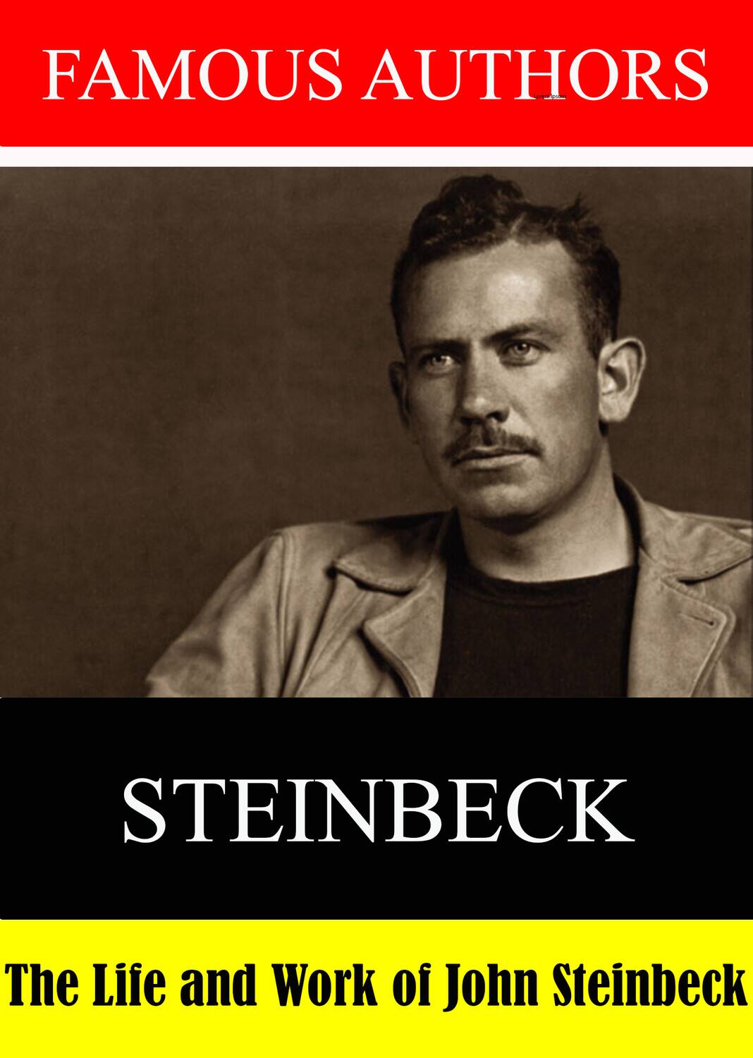 Front. Famous Authors: The Life and Work of John Steinbeck   - DVD.