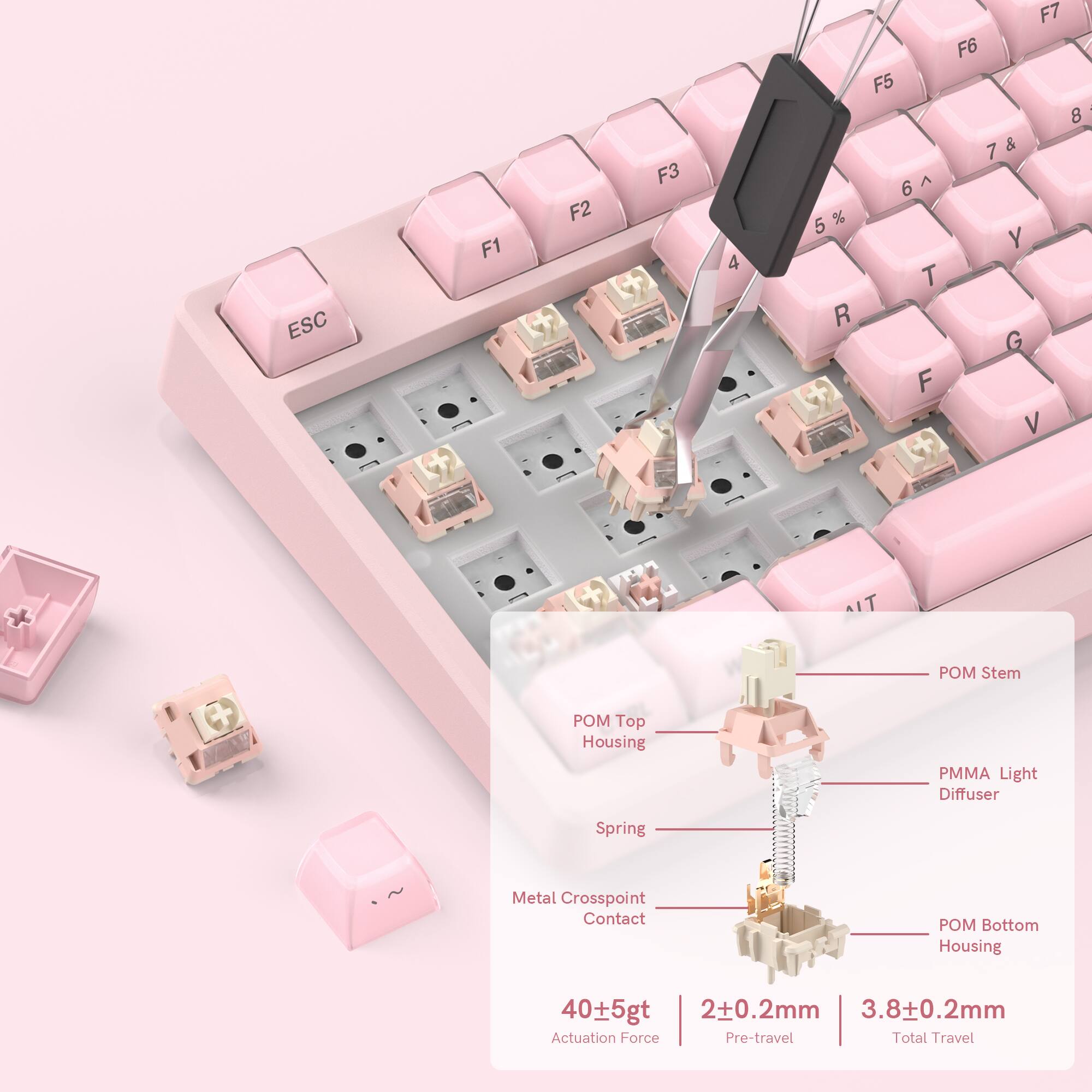 ESC F1 F2 F3 F4 F5 F6 F7  
I 8 7 & 6 ^ 5 % Y T R G F V  
POM Top Housing  
POM Stem  
PMMA Light Diffuser  
Spring  
Metal Crosspoint Contact  
POM Bottom Housing  

40±5gt  
2±0.2mm  
3.8±0.2mm  
Actuation Force  
Pre-travel  
Total Travel