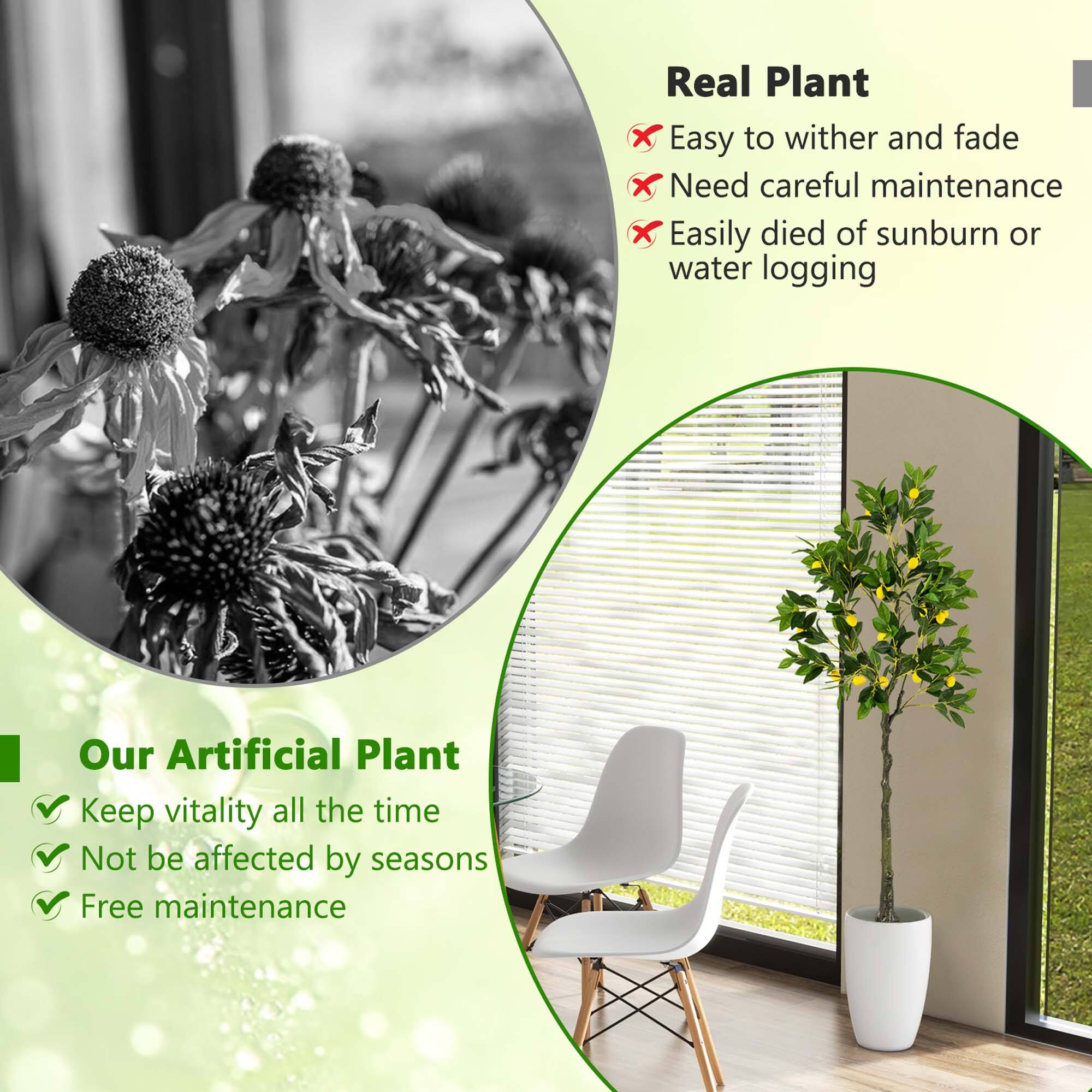 Real Plant:
- Easy to wither and fade
- Need careful maintenance
- Easily died of sunburn or water logging

Our Artificial Plant:
- Keep vitality all the time
- Not be affected by seasons
- Free maintenance