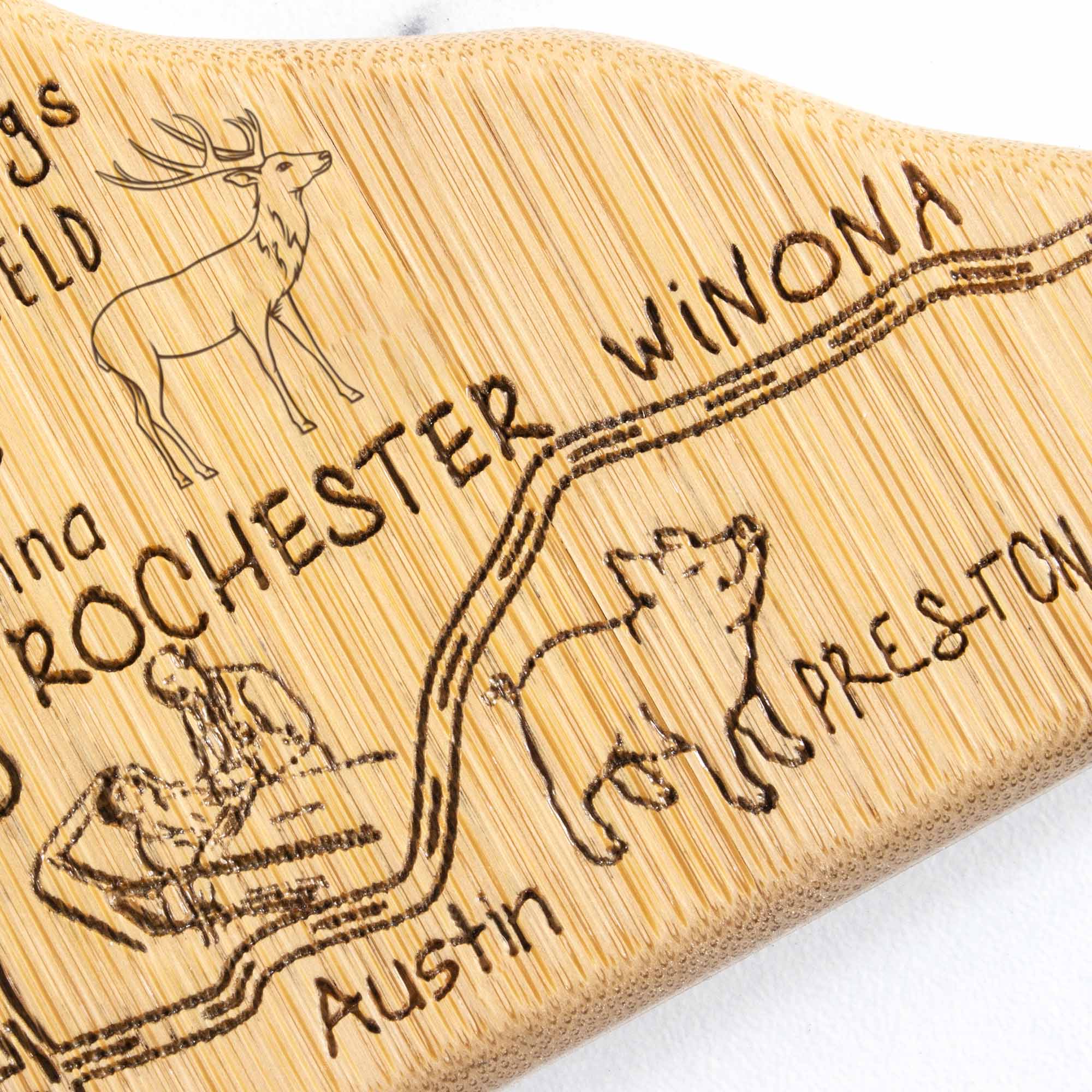 The text on the image reads:

- "ROCHESTER"
- "WINONA"
- "PRESTON"
- "Austin"
- "ELD"
- "ina"