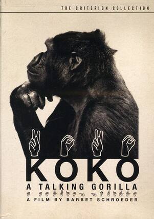 Front. Koko: A Talking Gorilla (Criterion Collection) - DVD.