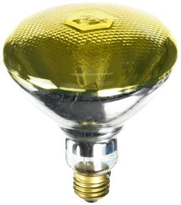 Westinghouse - Bug Light 100 W E26 Floodlight Incandescent Bulb E26 (Medium) Yellow 1 pk