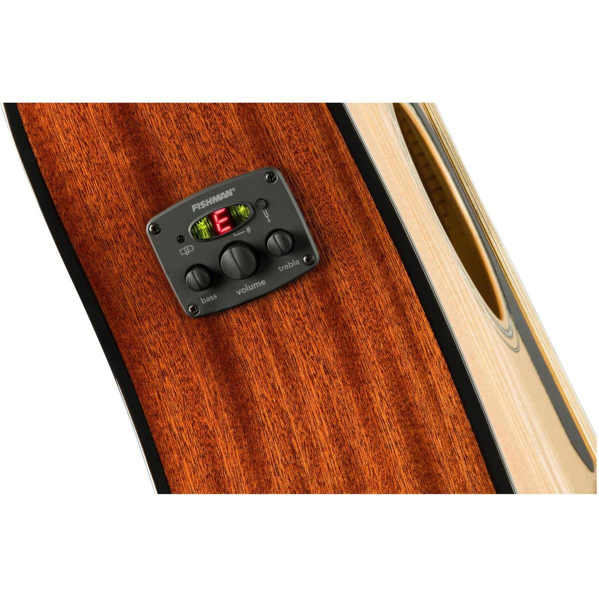 FISHMAN E y N BD treble volume bass