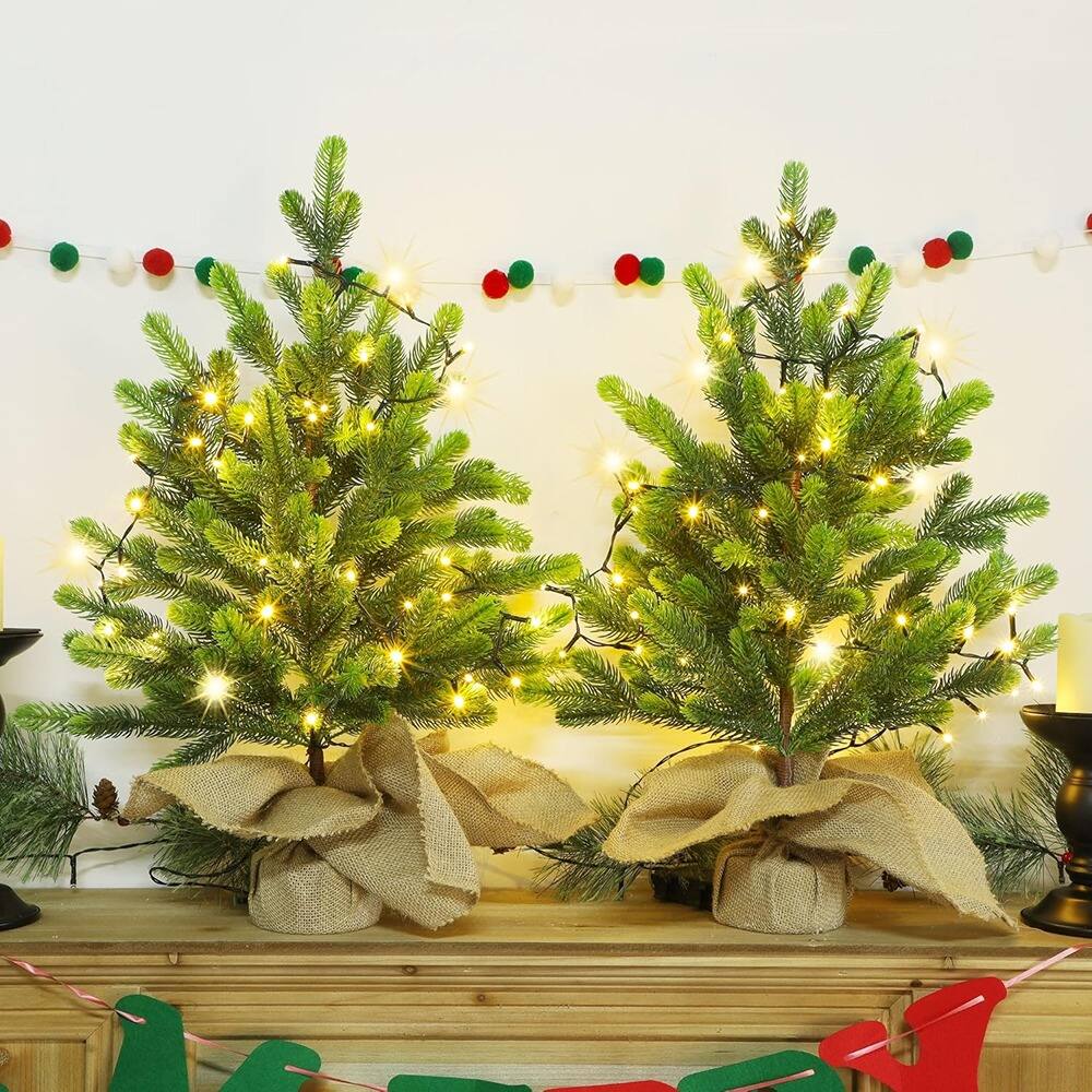 Front. RTMB - “2-Pack 24” Pre-Lit Mini Norfolk Pine Trees with 50 LED Lights, Burlap Base” - Green.