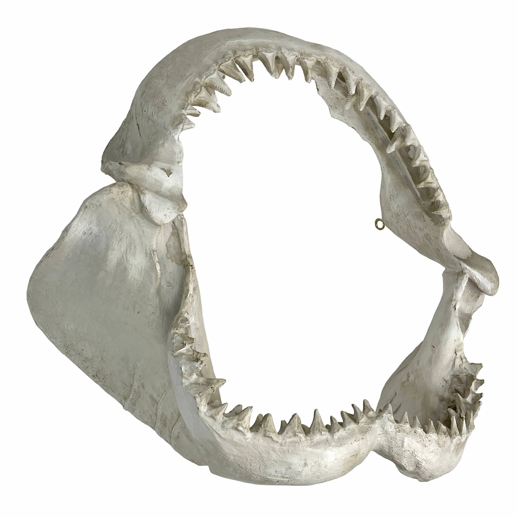 Alt View 1. Chesapeake Bay - Replica Shark Jaw Wall Sculpture Resin Coastal Nautical Decor 16" Off-White Art - Off-white.