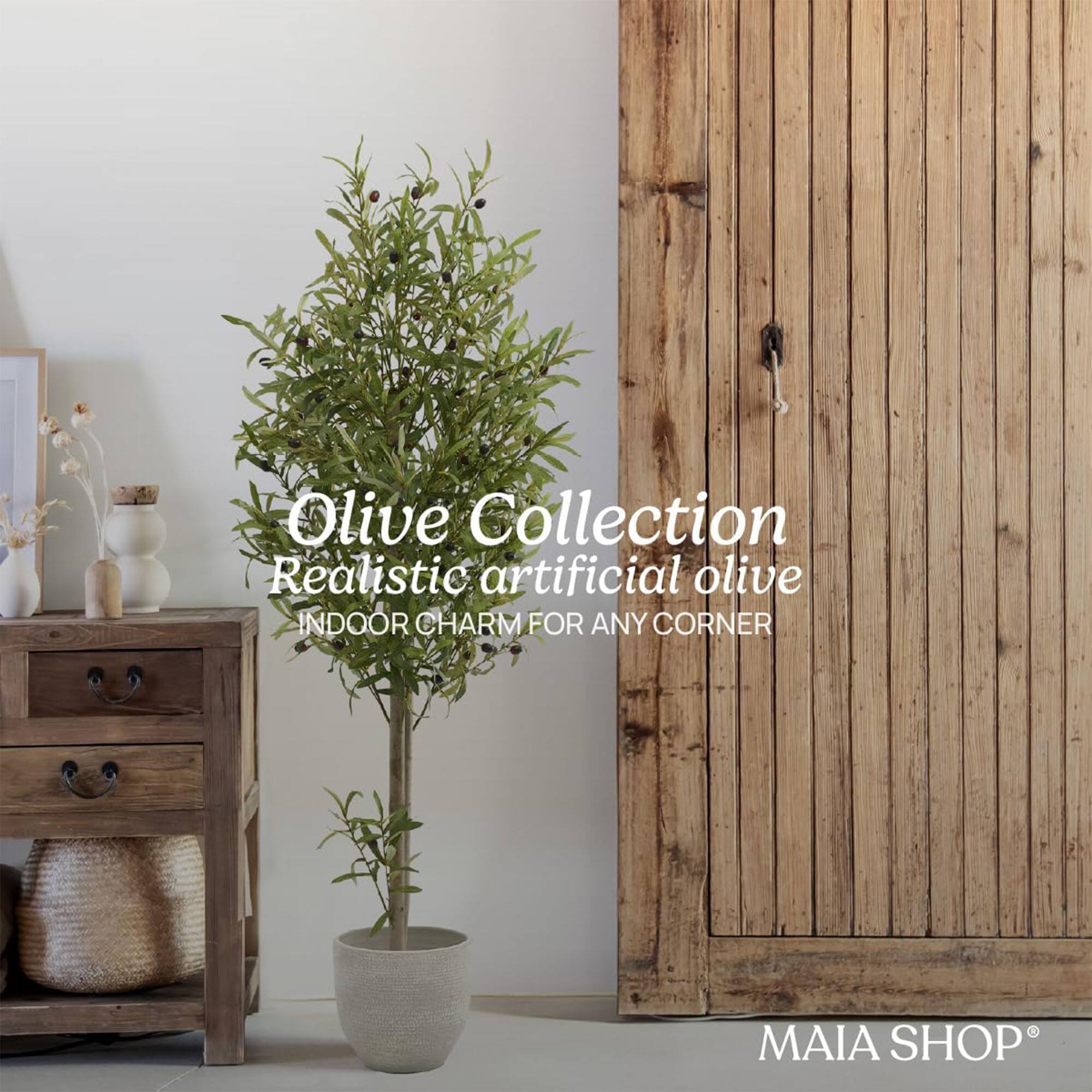Olive Collection  
Realistic artificial olive  
INDOOR CHARM FOR ANY CORNER  
MAIA SHOP®