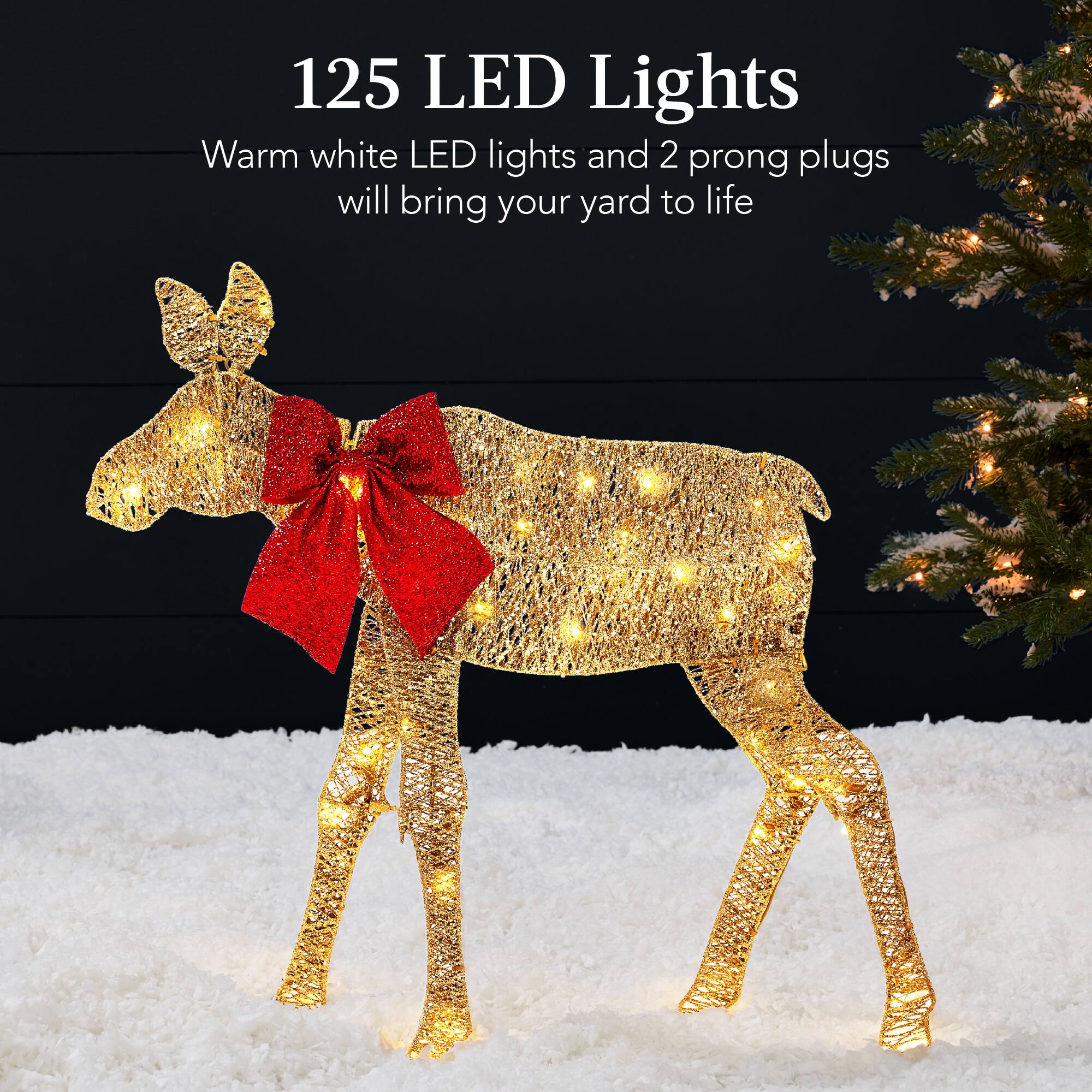 125 LED Lights  
Warm white LED lights and 2 prong plugs will bring your yard to life