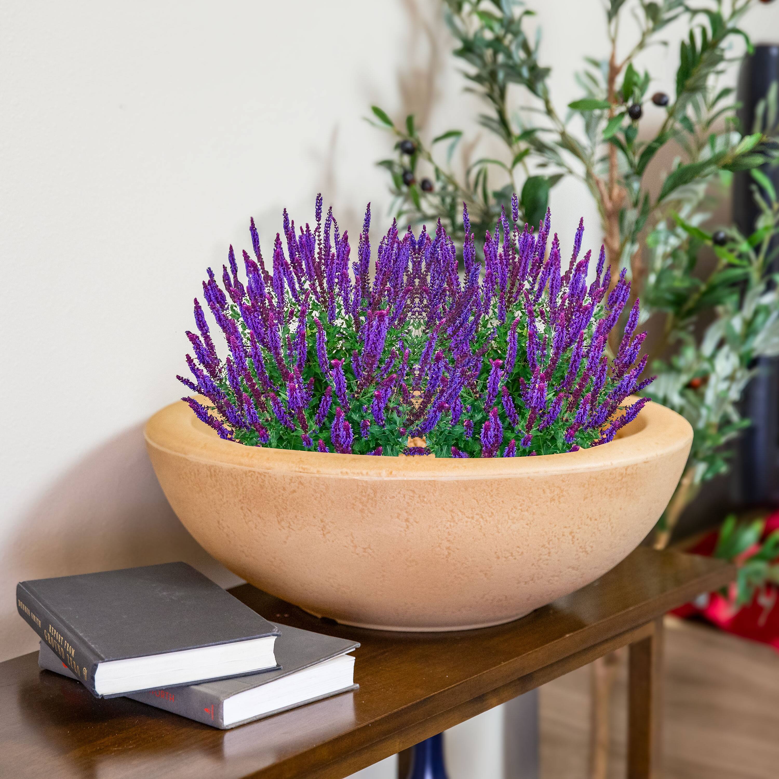 The text on the image reads:

"1 TE0K T1 1 URTH"