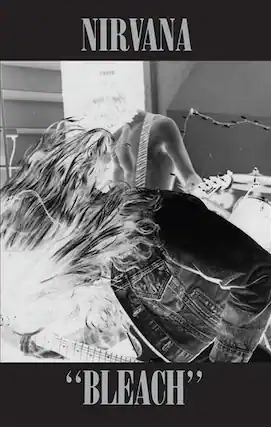 NIRVANA
"BLEACH"