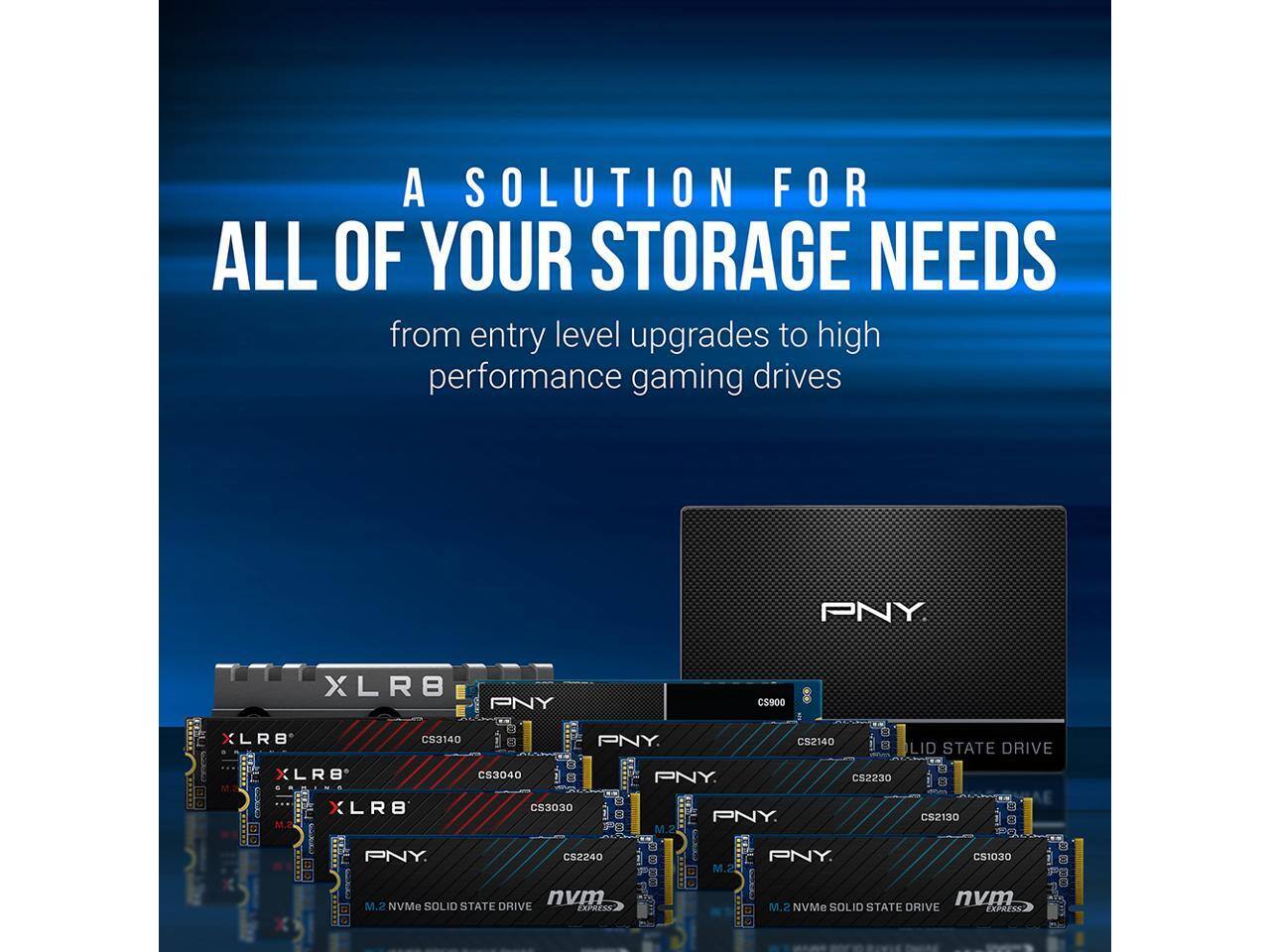 A SOLUTION FOR ALL OF YOUR STORAGE NEEDS  
from entry level upgrades to high performance gaming drives  

PNY XLR8  
PNY CS900  
PNY CS3140  
PNY CS2140  
PNY CS3040  
PNY CS2230  
PNY CS1030  
CONAU nvm  
TEPErSS M.2 NVMe SOLID STATE DRIVE  
DXPASS  

M.2 NVMe SOLID STATE DRIVE