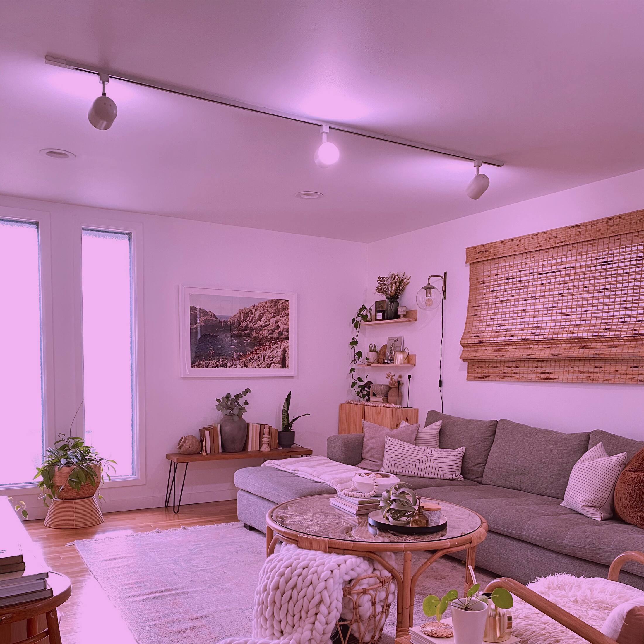 Alt View 13. FEIT ELECTRIC - A19 Smart LED Light Bulb - Multicolor.