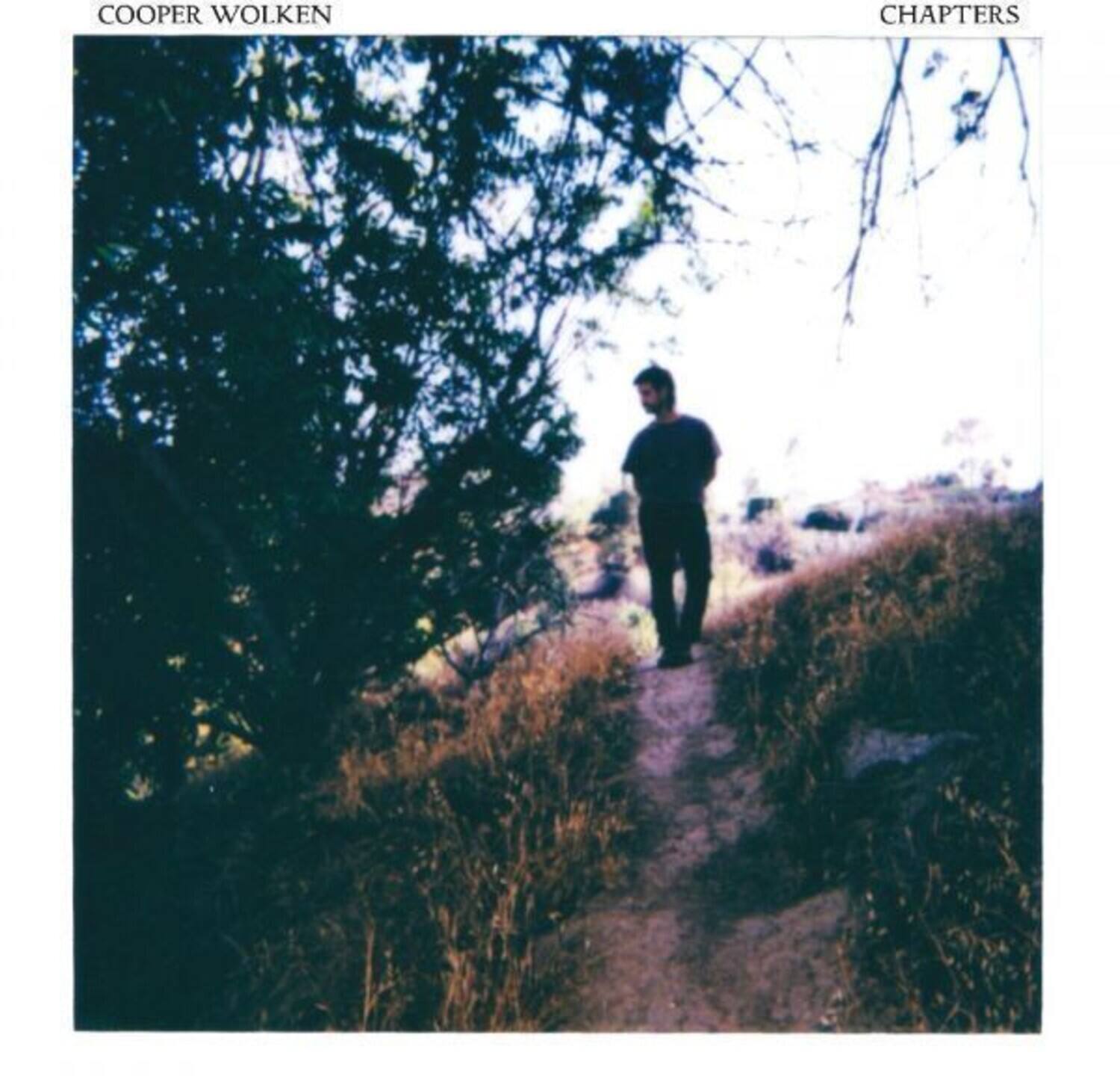 Cooper Wolken - Chapters   - VINYL LP price history on PriceWatchPro